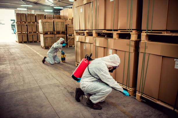 Best Emergency Pest Control  in St Clair, MO
