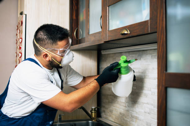 Best Pest Inspection Near Me  in St Clair, MO