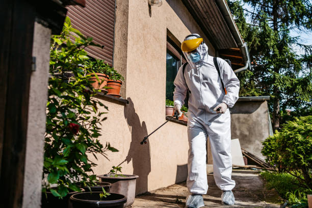 Best Rat Extermination Near Me  in St Clair, MO