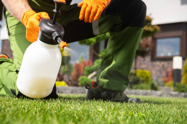 Pest Control for Restaurants in St Clair, MO