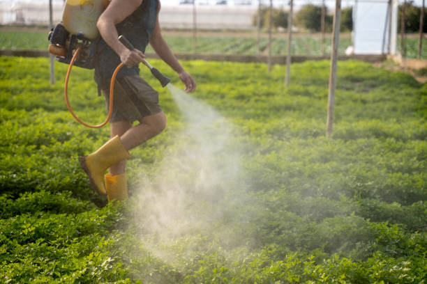 Best Residential Pest Control  in St Clair, MO
