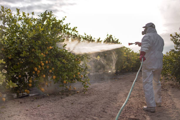 Best Emergency Pest Control  in St Clair, MO