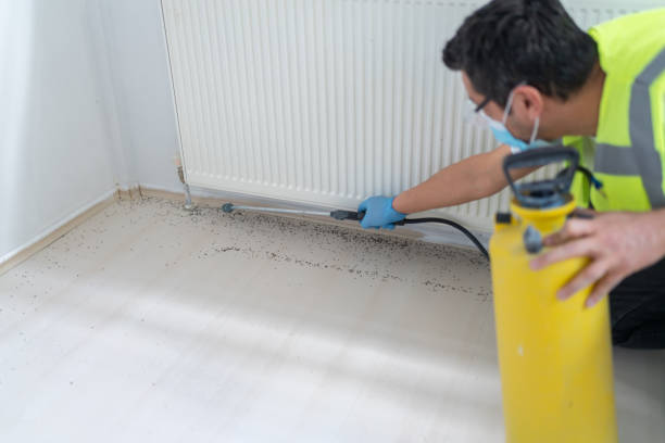 Best Local Pest Control Services  in St Clair, MO