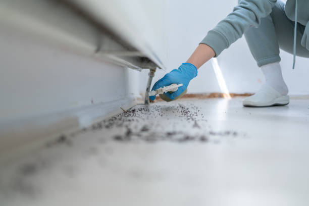 Best Termite Control Services  in St Clair, MO