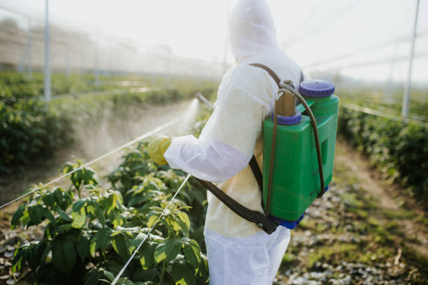 Best Commercial Pest Control Services  in St Clair, MO